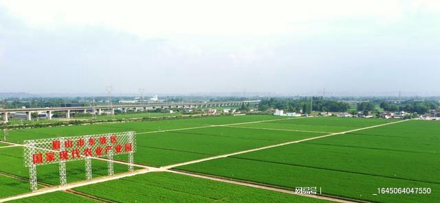 中央确定建设项目 2023年起 农村全面推进5大工程 村村有涉及(图5)