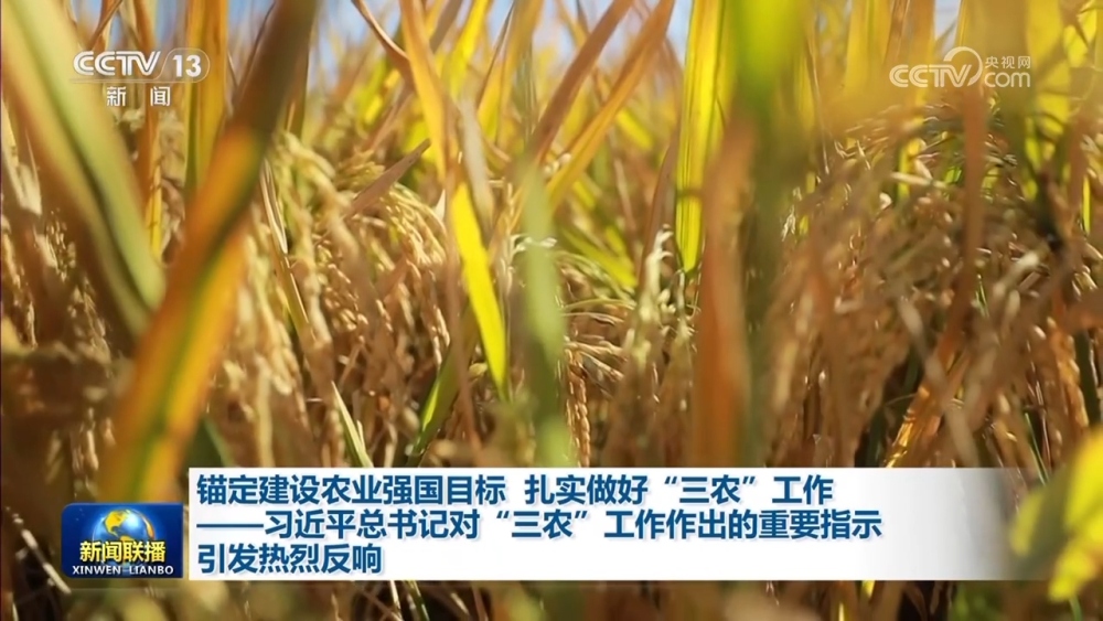 锚定建设农业强国目标 扎实做好“三农”工作——习对“三农”工作作出的重要指示引发热烈反响