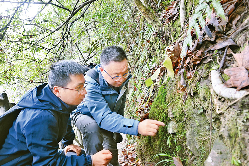 为美丽中国建设贡献政协智慧和力量(图2)