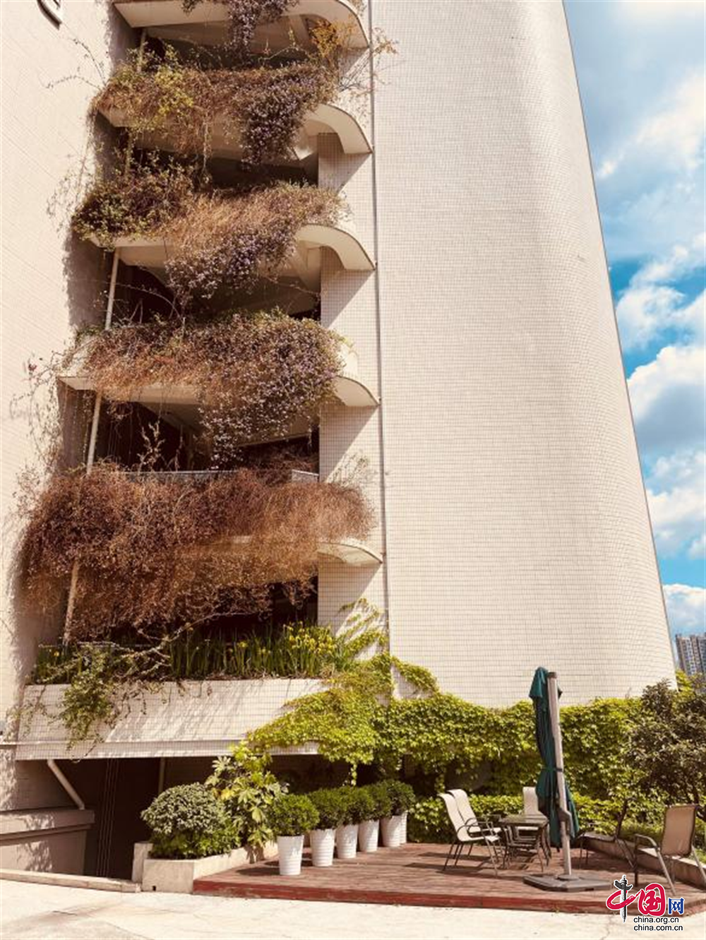 成都金牛区：锚定绿色低碳建筑产业重点赛道 续写“建半城”新篇章(图3)
