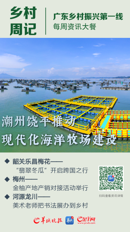羊城晚报社会责任（2023年度）(图8)