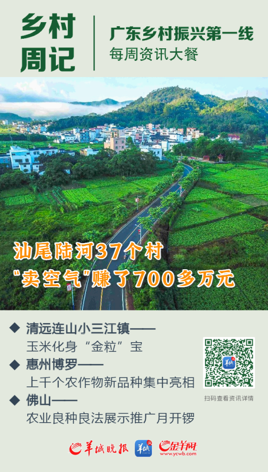 羊城晚报社会责任（2023年度）(图9)