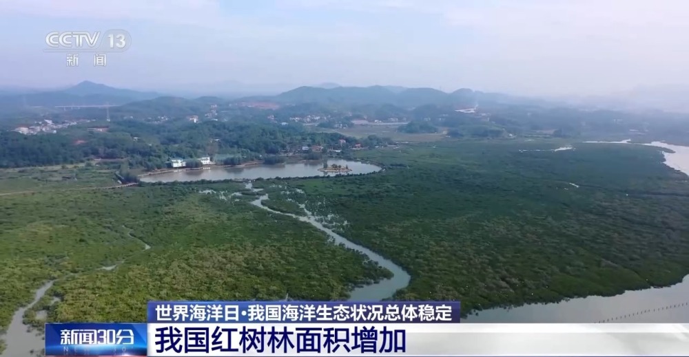 已划定海洋生态保护红线万平方千米 我国海洋生态状况总体稳定